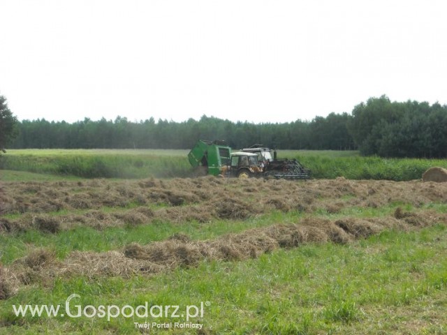 zbieranie siana
