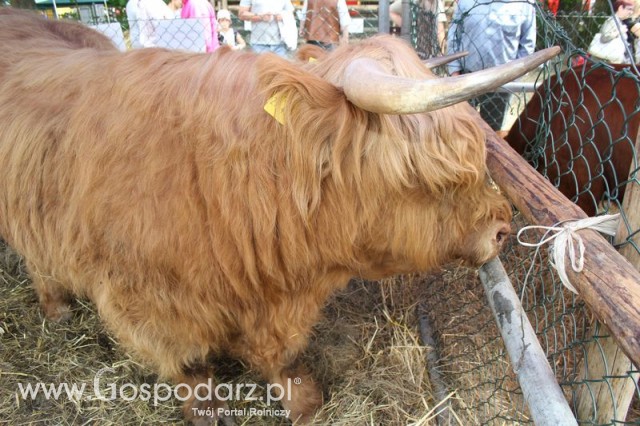 XX Targi Rolnicze Lubniewice