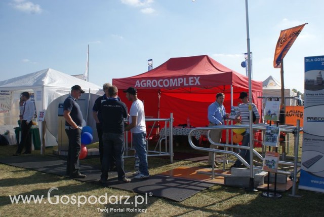 Zdj. - 92 - Agrocomplex