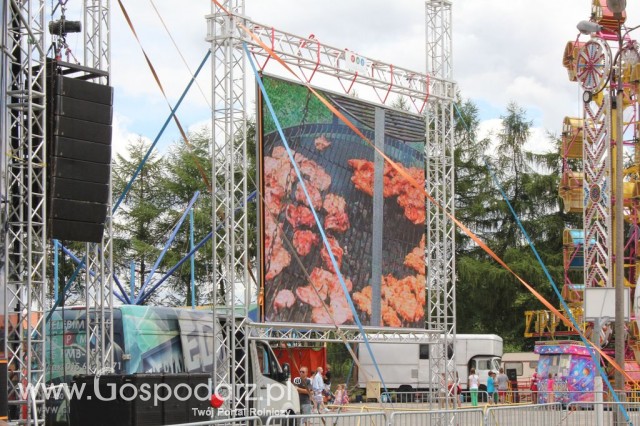 Festiwal Wieprzowiny w Bełżycach - 15