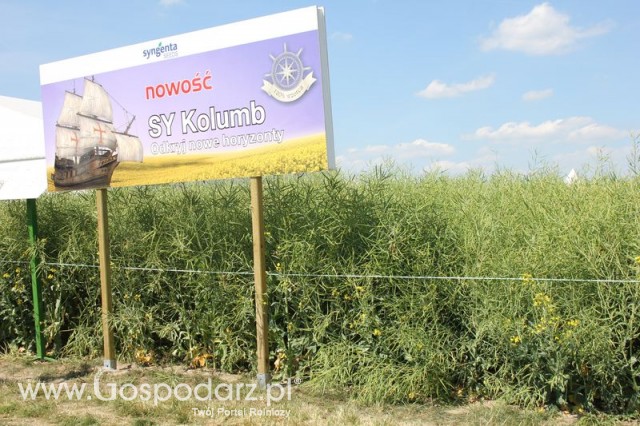 Polskie Zboża 2011 - Sobota