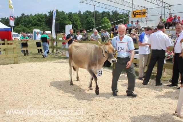 Nagordy dla superchampionów i championów  - 13