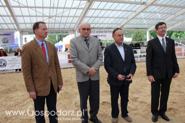 VII Ogólnopolska Wystawa Bydła Hodowlanego - 18