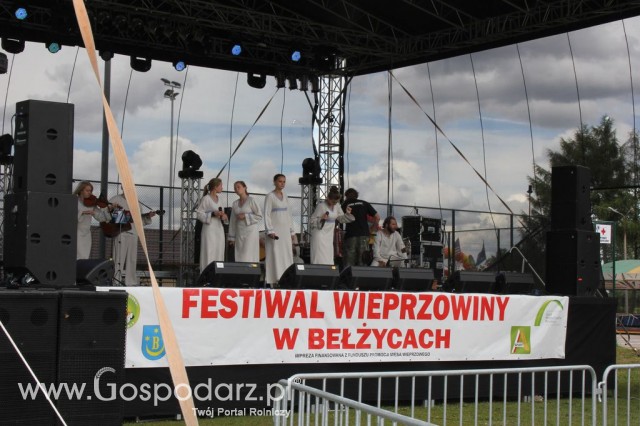 Festiwal Wieprzowiny w Bełżycach - 16