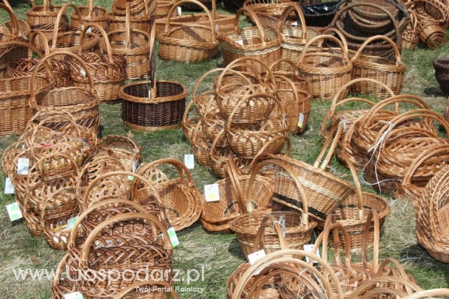 Fotoreportaż z XX Agro-Targów 2011 w Starej Łubiance