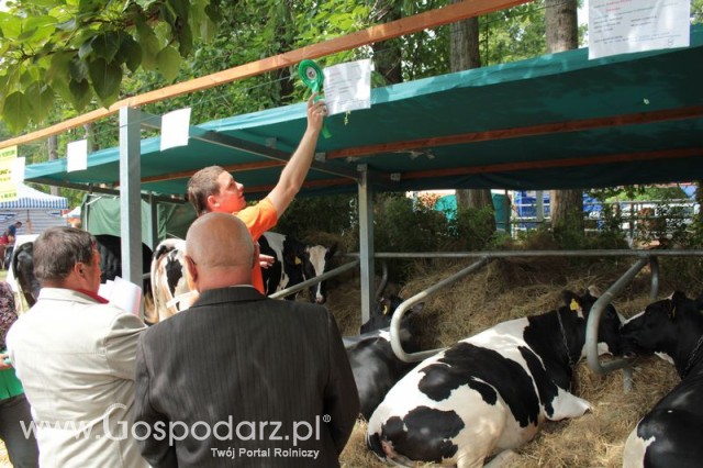 XX Targi Rolnicze Lubniewice