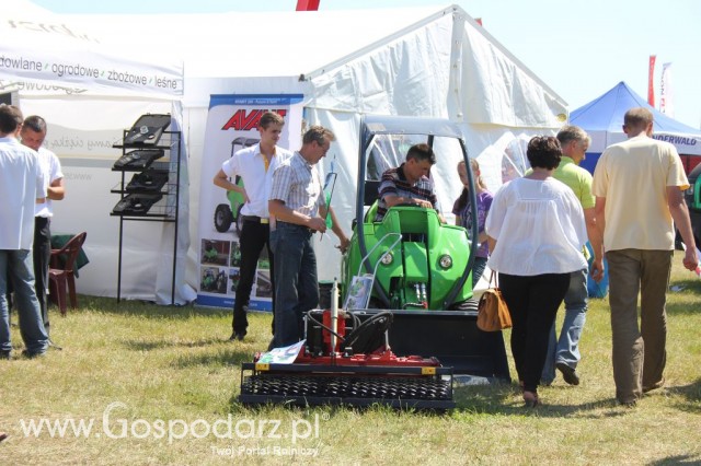 Serafin - Opolagra 2012 - 7