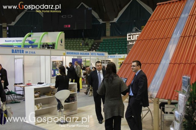 Foto reportaż  z XI Międzynarodowych Targów Fermy Bydła
