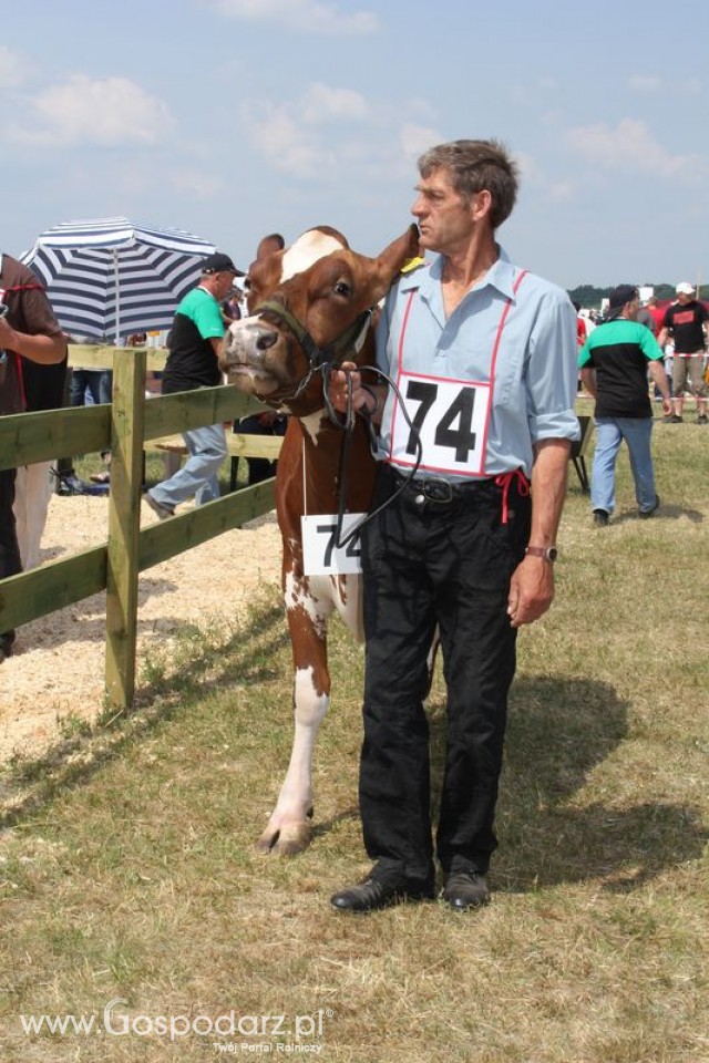 Nagordy dla superchampionów i championów  - 80