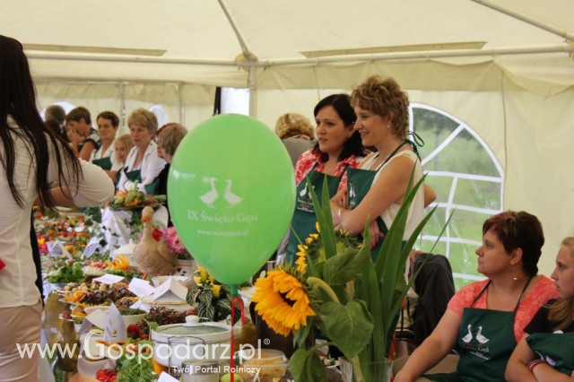 IX Święto Gęsi w Biskupcu - 37
