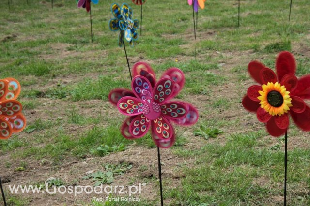 XX Targi Rolnicze Lubniewice