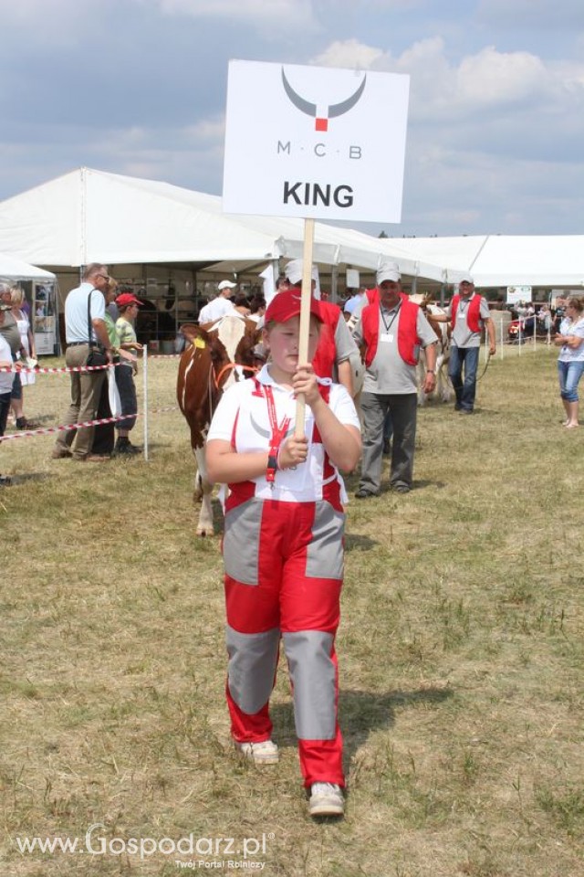 Konkurs Młodego Hodowcy - 7