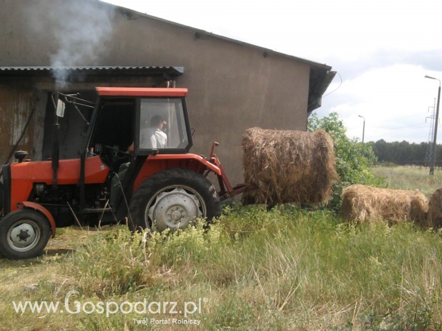 wyciąganie beli siana z hali mf