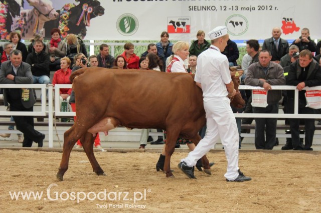 Prezentacja Championów na VII Ogólnopolskiej Wystawie Bydła Hodowlanego w Sielinku 2012 - 23