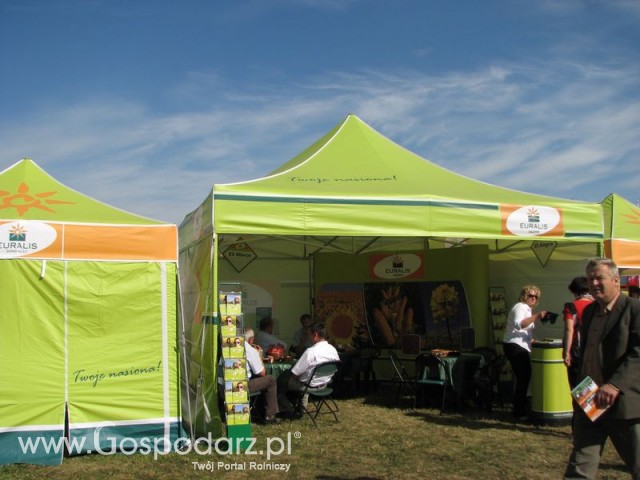 Zdj. - 617 - Euralis Saaten Sp. z o.o.