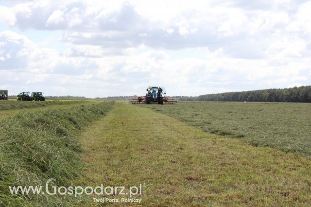 Pokazy Maszyn Polskie Zboża Zielone Agroshow 2012  - 4