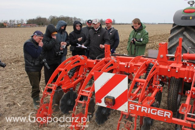 Kultywator STRIGER do uprawy pasowej - 4