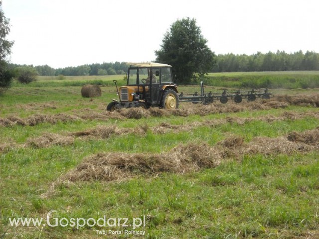 zbieranie siana