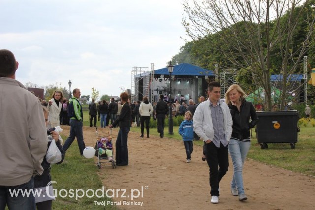 Pierwsze dni indyka w Koźminku