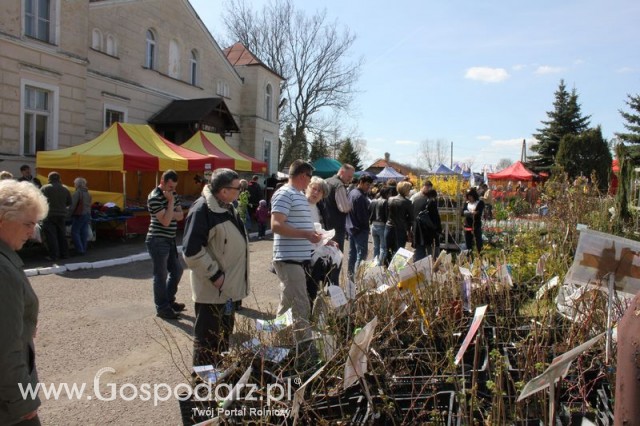 Fotoreportaż z XX Agro-Targów 2011 w Starej Łubiance