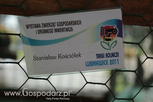 XX Targi Rolnicze Lubniewice 