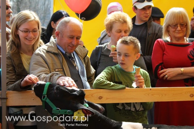 Foto reportaż z Targów Rolno-Ogrodnicze AGROMARSZ Marszew 2011