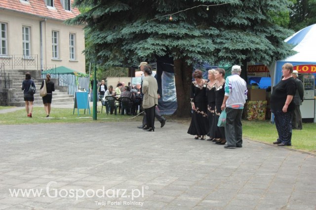 XX Targi Rolnicze Lubniewice 