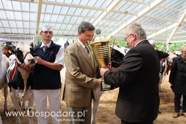 VII Ogólnopolska Wystawa Bydła Hodowlanego - 30