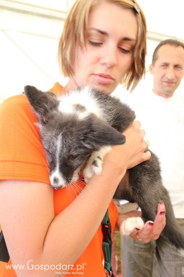 IZOO Balice dzień drugi  - 69