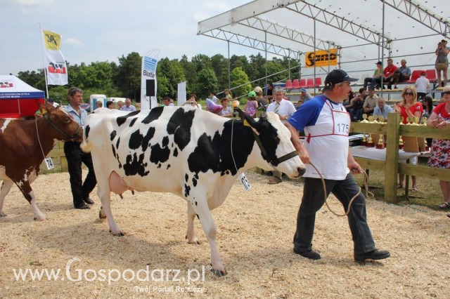 Nagordy dla superchampionów i championów  - 51