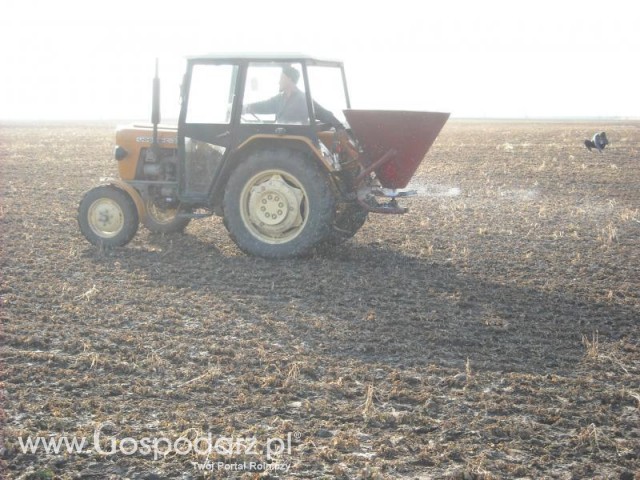 Saletrzany atak na tzepak 