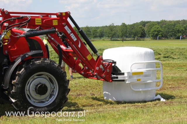 Szepietowo 2012 XIX Regionalna Wystawa Zwierząt Hodowlanych, I Ogólnopolska Wystawa Drobiu oraz Dni z Doradztwem Rolniczym - 65