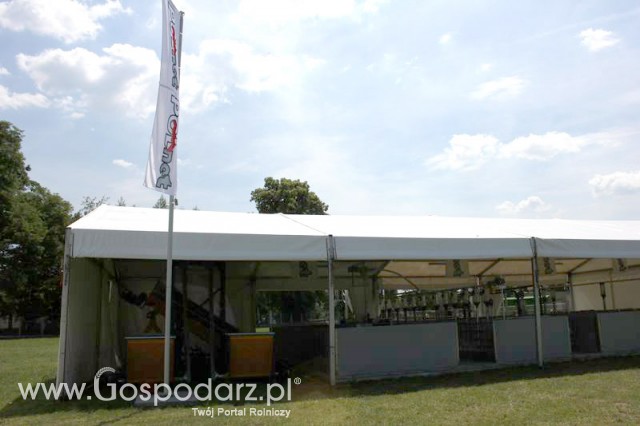 IZOO Balice dzień drugi  - 82