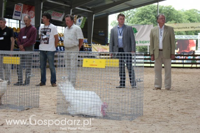 Drób - Szepietowo 2012 XIX Regionalna Wystawa Zwierząt Hodowlanych - 12