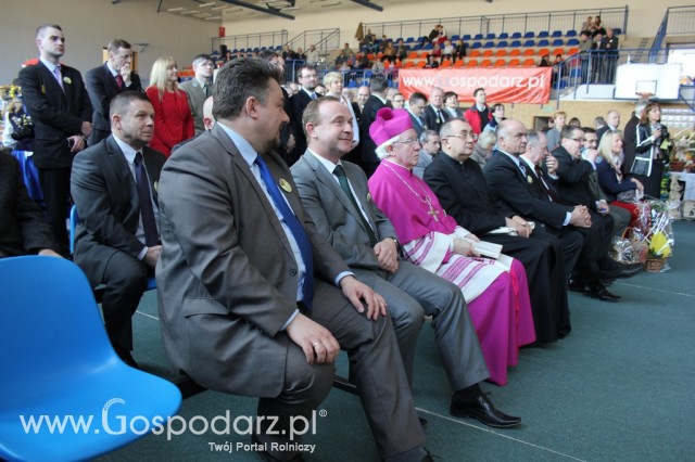 XV Spotkania Tradycji Wielkanocnych Ziemi Kłodzkiej - 4