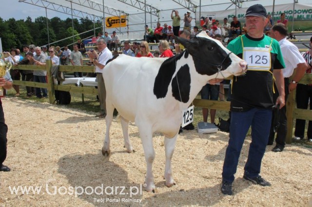 Nagordy dla superchampionów i championów  - 22