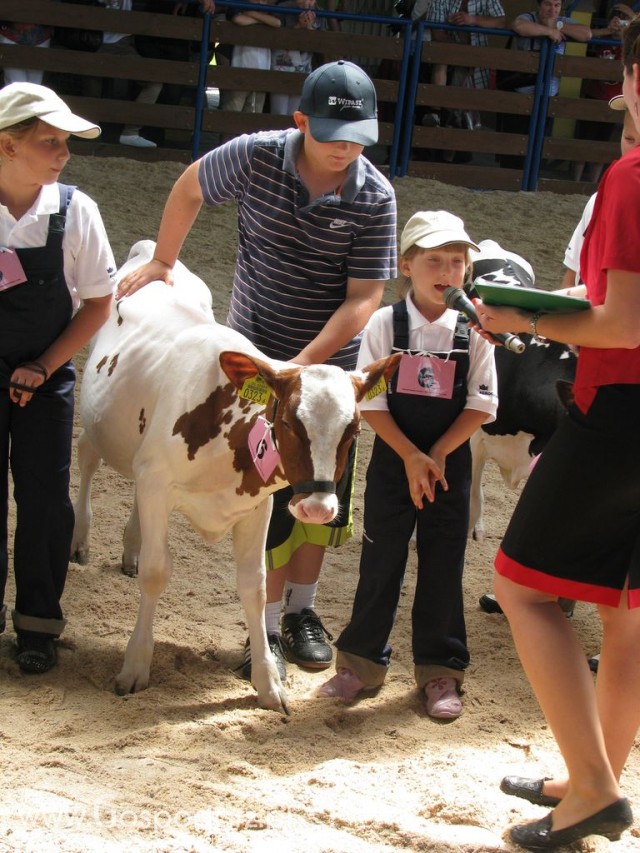 Młody Hodowca - Szepietowo 2012 - 52