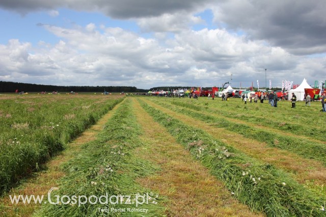 Pokazy Maszyn Polskie Zboża Zielone Agroshow 2012  - 42