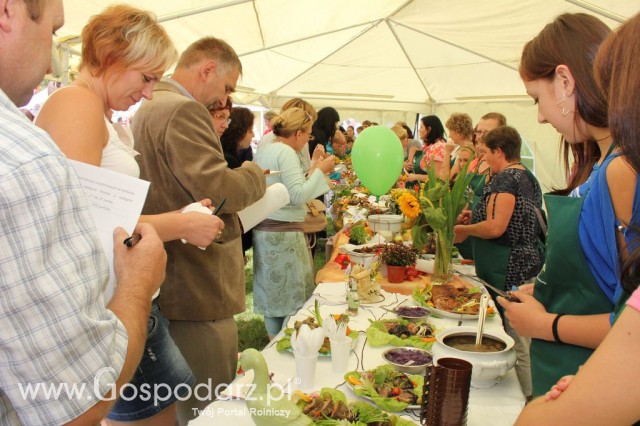 IX Święto Gęsi w Biskupcu - 94