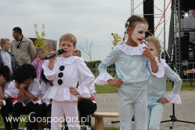 Występy artystyczne odbywające się podczas Dni Indyka