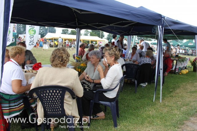 Festiwal Wieprzowiny w Bełżycach - 35