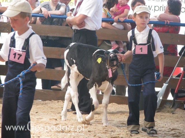 Młody Hodowca - Szepietowo 2012 - 19