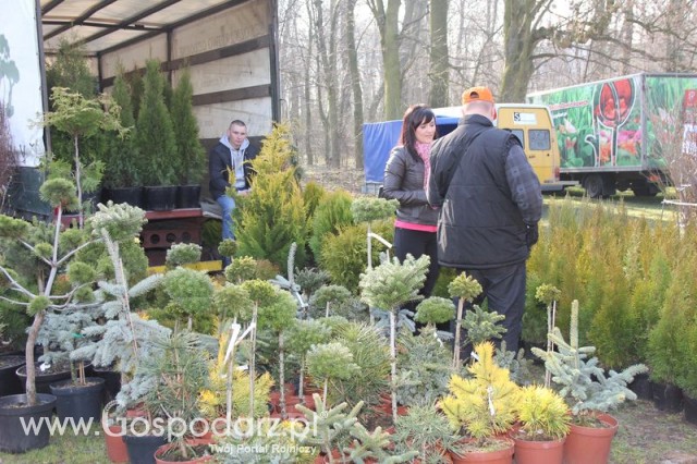 Foto reportaż z Targów Rolno-Ogrodnicze AGROMARSZ Marszew 2011
