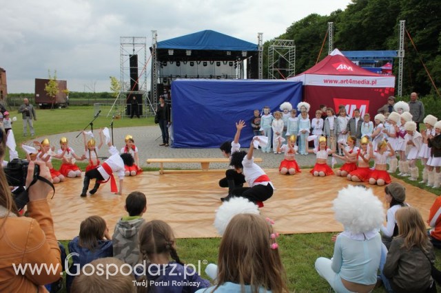 Występy artystyczne odbywające się podczas Dni Indyka