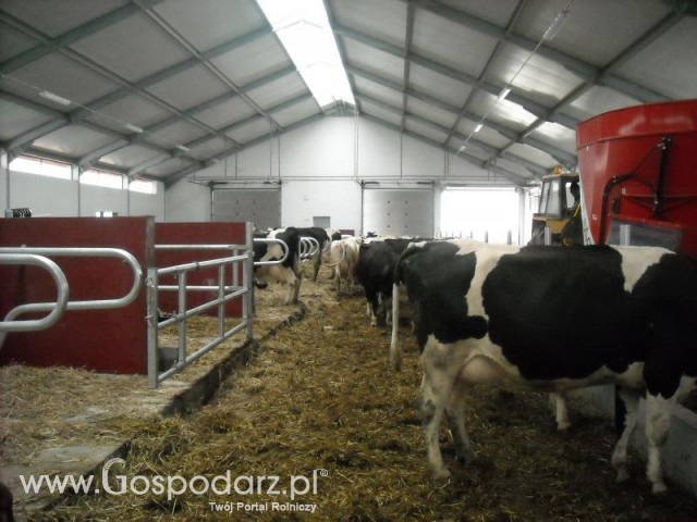 Mućki i ich Nowa Obora