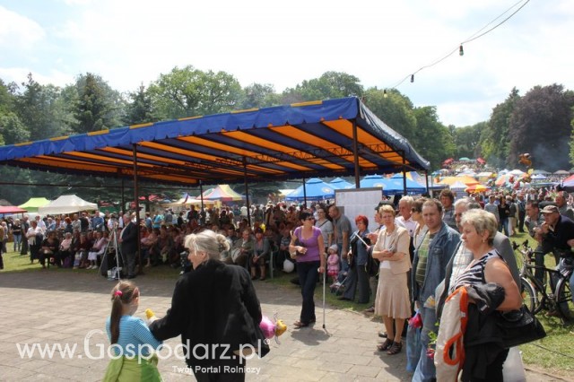 XX Targi Rolnicze Lubniewice