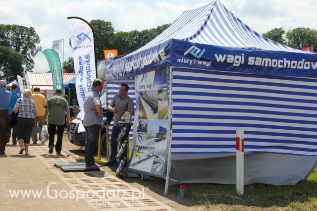 Szepietowo 2012 XIX Regionalna Wystawa Zwierząt Hodowlanych, I Ogólnopolska Wystawa Drobiu oraz Dni z Doradztwem Rolniczym - 85