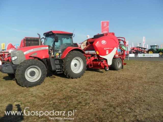 Prasoowijarka zmiennokomorowa 