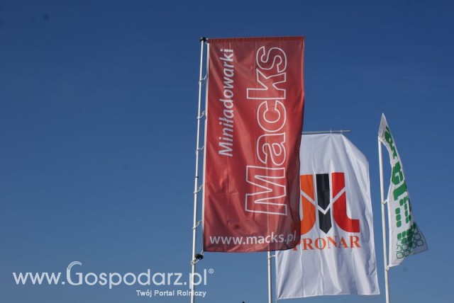 Zdj. - 162 - FHU DAMIAN