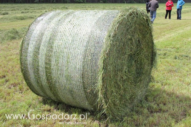 Pokazy Maszyn Polskie Zboża Zielone Agroshow 2012  - 98
